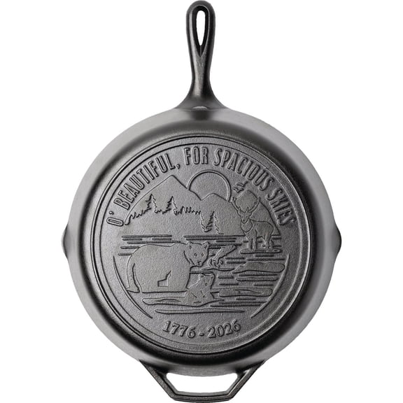 Lodge Mfg Co Lodge USA 250 Cast Iron Skillet - Single Pack