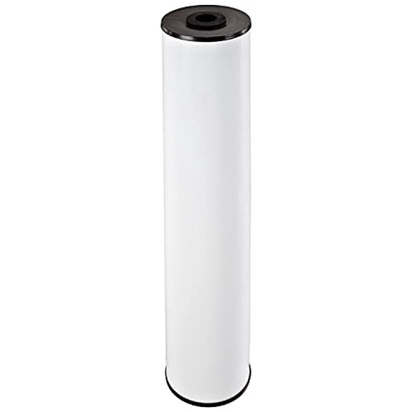 Pentek RFFE20-BB Iron Reduction Filter, 20x4.5-Inch