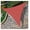 Red, variant on Sun Shade Sail Triangle 16'x16'x16' Shade Canopy UV Resistant Outdoor Patio Cover for Pergola Backyard Deck Garden Porch Shades, Brown