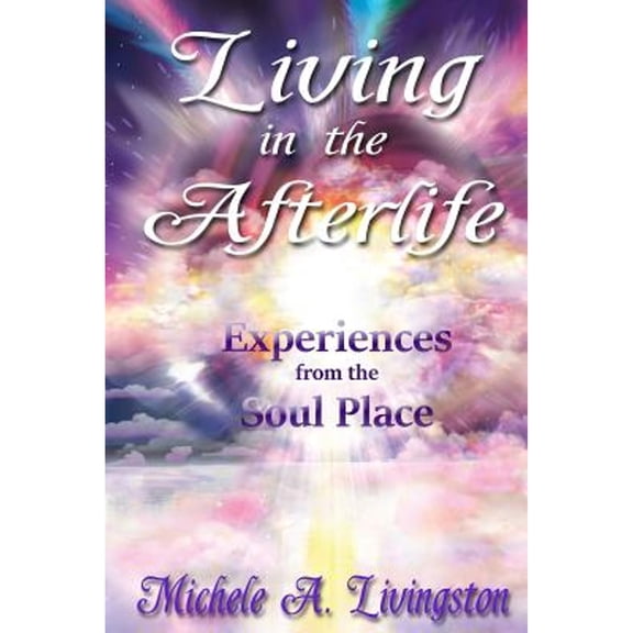 Pre-Owned Living in the Afterlife: Experiences from the Soul Place (Paperback) by Michele A Livingston