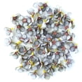 thumbnail image 4 of 50Pcs Multicolor Mini Simulation Marguerite Flower Heads DIY Parts Home Decor, 4 of 5