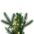 thumbnail image 4 of Vickerman 9' x 14" Douglas Fir Artificial Pre-Lit Garland with Warm White LED Lights., 4 of 6