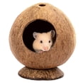 thumbnail image 1 of Casa de hámster con cabaña de coco, cama para jerbos, ratones, jaula para animales pequeños, decoración de hábitat, 1 of 8