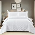 thumbnail image 2 of All Season Fluffy Velvet Mini Dots Quilted Embroidered Luxurious Soft Bedspread - Twin/Twin XL - White, 2 of 3