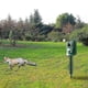 thumbnail image 3 of Outdoor Cat Repr, Solar Char Ultrasonic Cat Repr, Usb Charging, En Cat Repr For Yards, F, S, 3 of 5