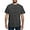 Charcoal, variant on - Anatomy T Shirt - Mens Comfort Colors Shirt