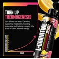 thumbnail image 5 of Nutrex Research Liquid Carnitine 3000 Pink Lemonade, 5 of 7