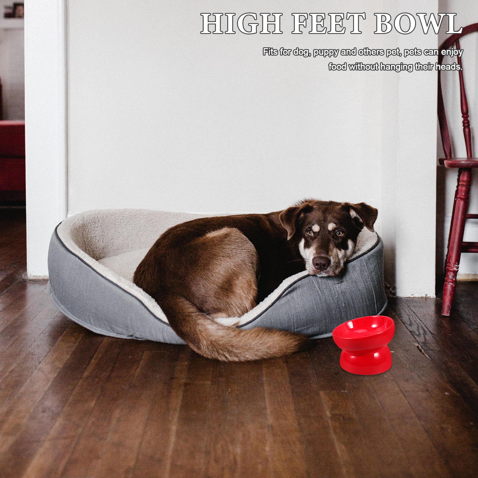 LEORX Cat Bowl Elevated Cat Food Bowl Ceramic Pet Water Dish For Indoor Small Dogs
