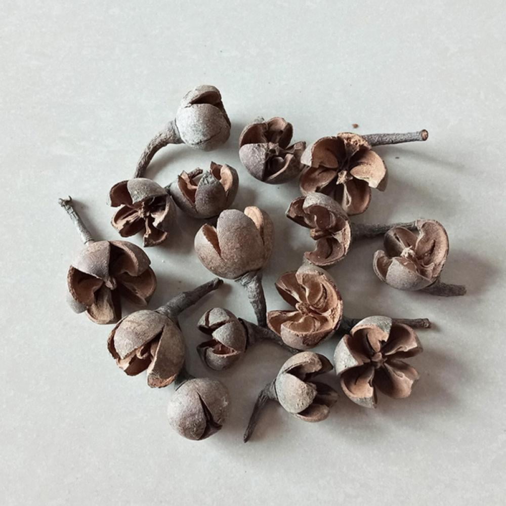 Blh Dried Flowers And Herbs 100% Natural Dry Flowers For Candle  Making,Resin Jewelry Bath Bombs Diy Pressed Flower Best Gift For  Valentine's Day - Buy