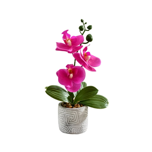 Flores artificiales de orquídeas Cateissary decoración Morado oscuro