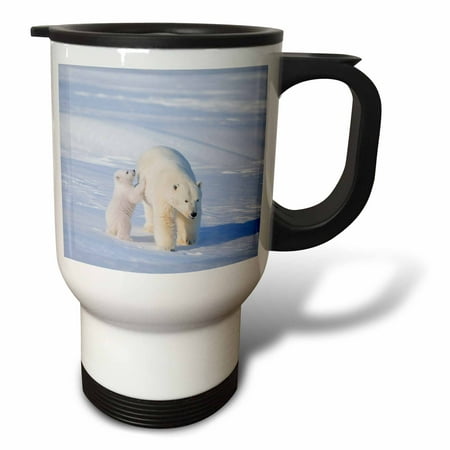 Alaska Cub Bear Knife 3dRose USA, Alaska, Arctic NWR. Polar bear sow with her cub outside their den, Travel Mug, 14oz, Stainless Steel ()