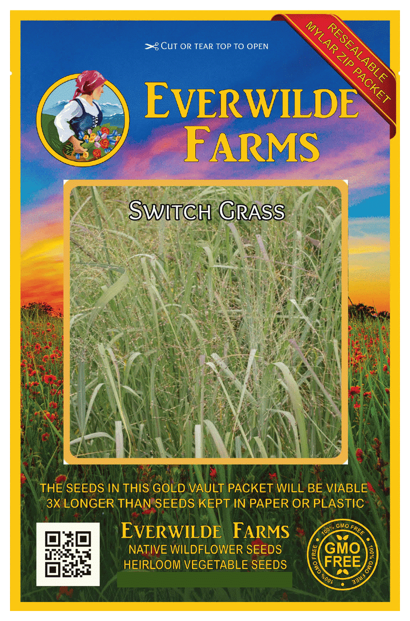 Everwilde Farms 1000 Switch Grass Native Grass Seeds Gold Vault