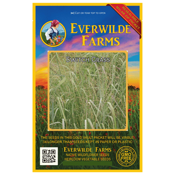 Everwilde Farms 1000 Switch Grass Native Grass Seeds Gold Vault