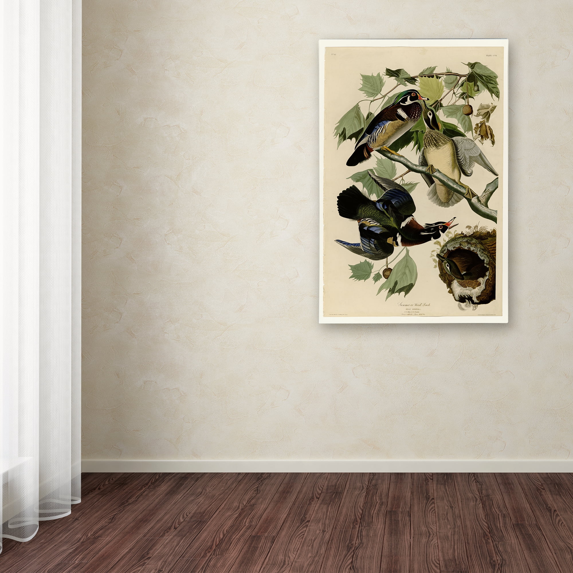 Audubon 'Summer Duckplate 206' Canvas Art