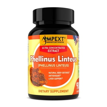 Phellinus linteus Mushroom Extract - Only Fruiting Bodies, Over 30% Beta-Glucans, Antioxidant, Immunity Booster, Liver Support, 90 Veg Caps