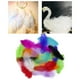 thumbnail image 5 of 100 Plumas de Gallina de Colores Brillantes para Manualidades Mezclado, 5 of 9