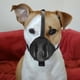 thumbnail image 4 of FELTECHELECTR Bozal De Malla Para Perros Con Y Para Uso Diario, 4 of 8
