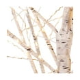 thumbnail image 2 of Kurt S. Adler 3' Pre-Lit Twinkle Birch Twig Artificial Christmas Tree, Warm White LED Lights, 2 of 5