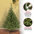 thumbnail image 4 of National Tree Company Kincaid Spruce 4 Ft Unlit Artificial Christmas Tree, 4 of 7