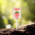 thumbnail image 3 of Eveokoki Fruit Signs For Garden With Stake Strawberry Yard Sign Vegetable Garden Label Stakes Plant Markers For Outdoor Plants Waterproof 7x8.8inch Nursery Garden Fruit Outdoor Sign, 3 of 6