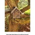 thumbnail image 5 of Cestari Kitchen Bamboo Tube Decorative Fir and Bamboo Bee Habitat for Mason & Solitary Bees, Hanging Mount, Farmhouse Grey, 5 of 9