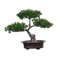 thumbnail image 3 of Artificial Welcoming Tree Pot Plant Bonsai Decorative Novel and Unique Sturdy Multipurpose Desktop Display for Terrace, Windowsill Style A, 3 of 9