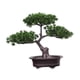 thumbnail image 3 of Árbol bonsái artificial en maceta, decoración de plantas, duradero, realista, multifuncional. Estilo A, 3 of 9