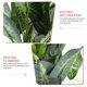 thumbnail image 3 of IFANLANDOR Planta Artificial Decorativa En Maceta Para Hogar Oficina Con Estilo Y, 3 of 6
