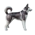 Inflatable Husky Dog Siberian Alaskan Malamute pet animal 32 inch Long