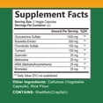 thumbnail image 4 of Glucosamina y condroitina: suplemento para el fortalecimiento de los huesos, la salud de las articulaciones y la densidad ósea - 120 cápsulas, 4 of 5