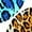 LEOPARD BLUE_AC950, variant on LA LEELA Women's Short Fall Swimsuit Cover ups Tops XL-XXL Navy, Allover Turtles
