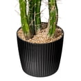thumbnail image 4 of Vickerman 34" Artificial Green Cactus, Black Plastic Planters Pot., 4 of 5
