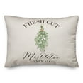 thumbnail image 2 of Creative Products Mistletoe Light Linen Canvas Texture 20 x 14 Spun Poly Pillow, 2 of 3