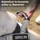 thumbnail image 2 of Pecheras Táctico Para Perros Mascotas Y Correas Arnés Perro, 2 of 8