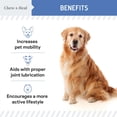 thumbnail image 4 of Chew + Heal Liquid Hip and Joint Supplement for Dogs Liquid Glucosamine - 16 oz - Bacon Flavored - Advanced Mobility Support, 4 of 9