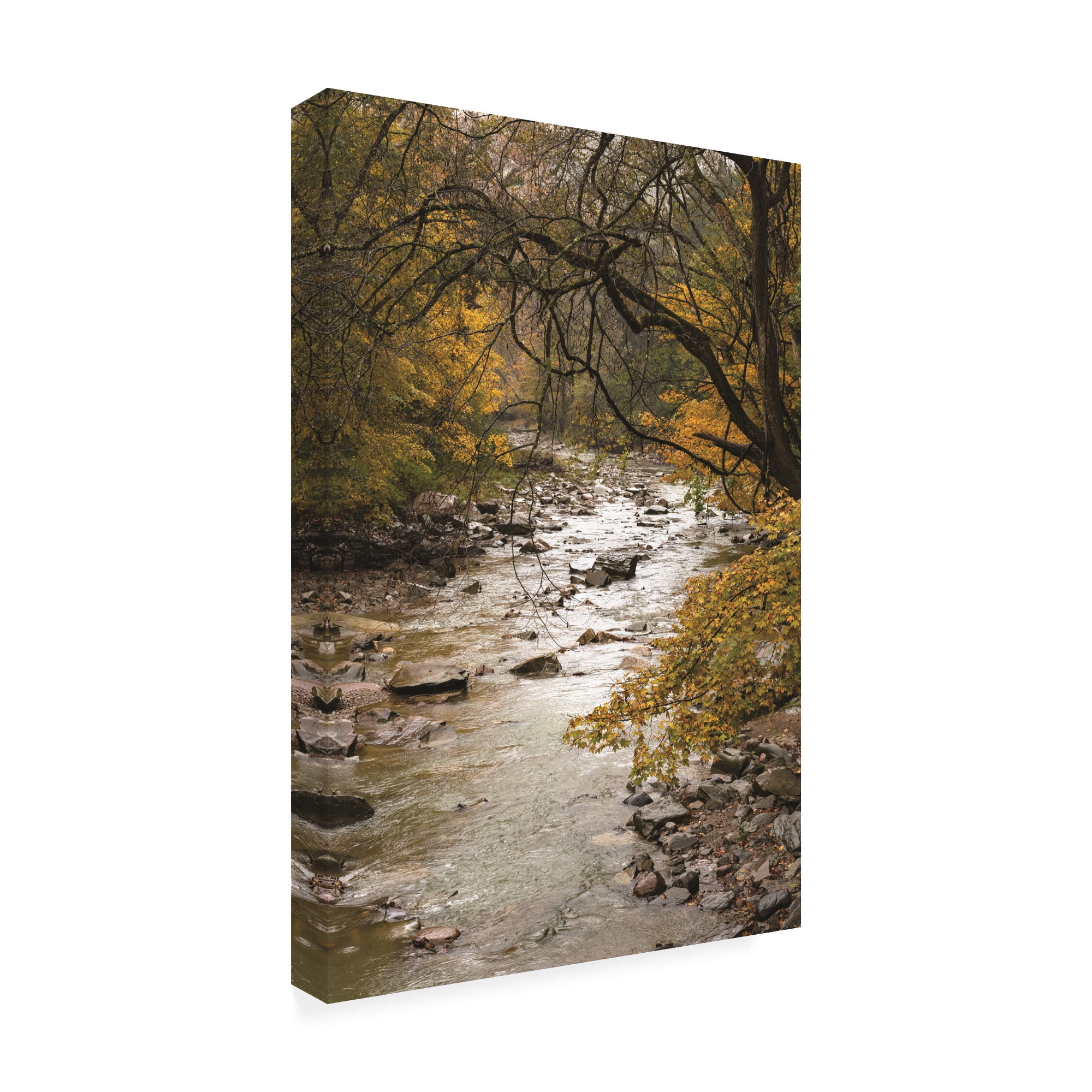 Trademark Fine Art 'Yellow Maples along the River' Canvas Art by Kurt Shaffer Photographs