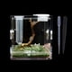 thumbnail image 2 of Habitat Food Cage For Spiders, Grasshoppers, Crickets, Scorpions, Mantises, Small Reptiles - Acrylic Enclosure, 2 of 2