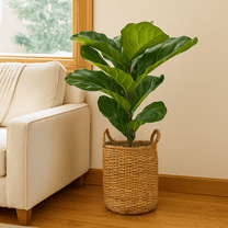 Artificial Plant, LCG Florals 3ft Fiddle Leaf Fig Plant in Handwoven Basket, Realistic Fake Faux Indoor Floor Plant for Home Decor