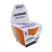 Buzzy Lavender Herb Terra Cotta Grow Kit