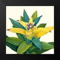thumbnail image 2 of Meagher, Megan 15x15 Black Modern Framed Museum Art Print Titled - Tropical Bloom II, 2 of 5