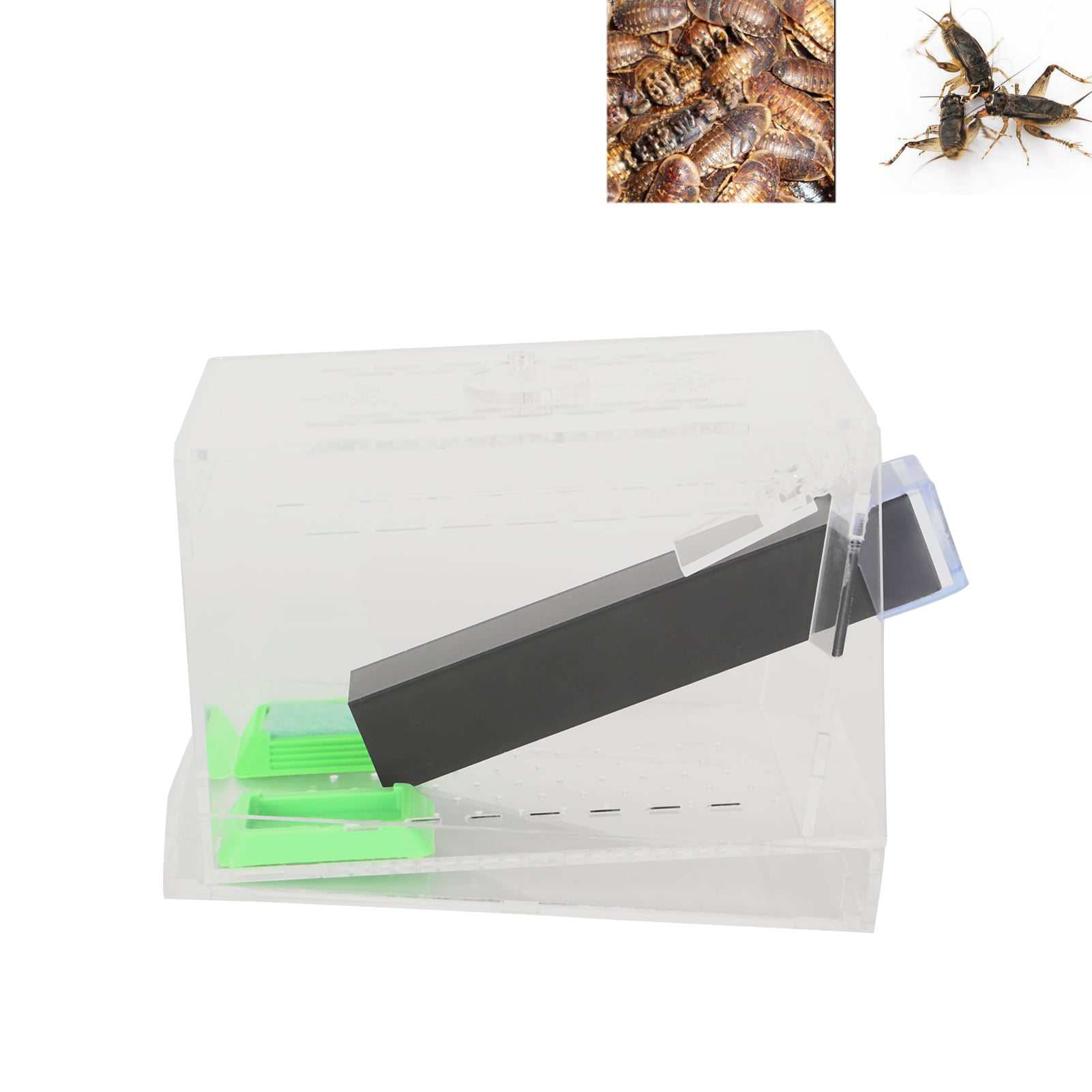 Fyydes Acrylic Feeding Cricket Keeper Pen with Tubes Cockroach Care Kit  Reptile Tank Box,Feeding Cricket Keeper Pen,Cricket Keeper with Tubes 