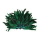 thumbnail image 3 of Tocado de plumas para bailarina, accesorios de cosplay para espectáculos de escenario, disfraces. verde, 3 of 8