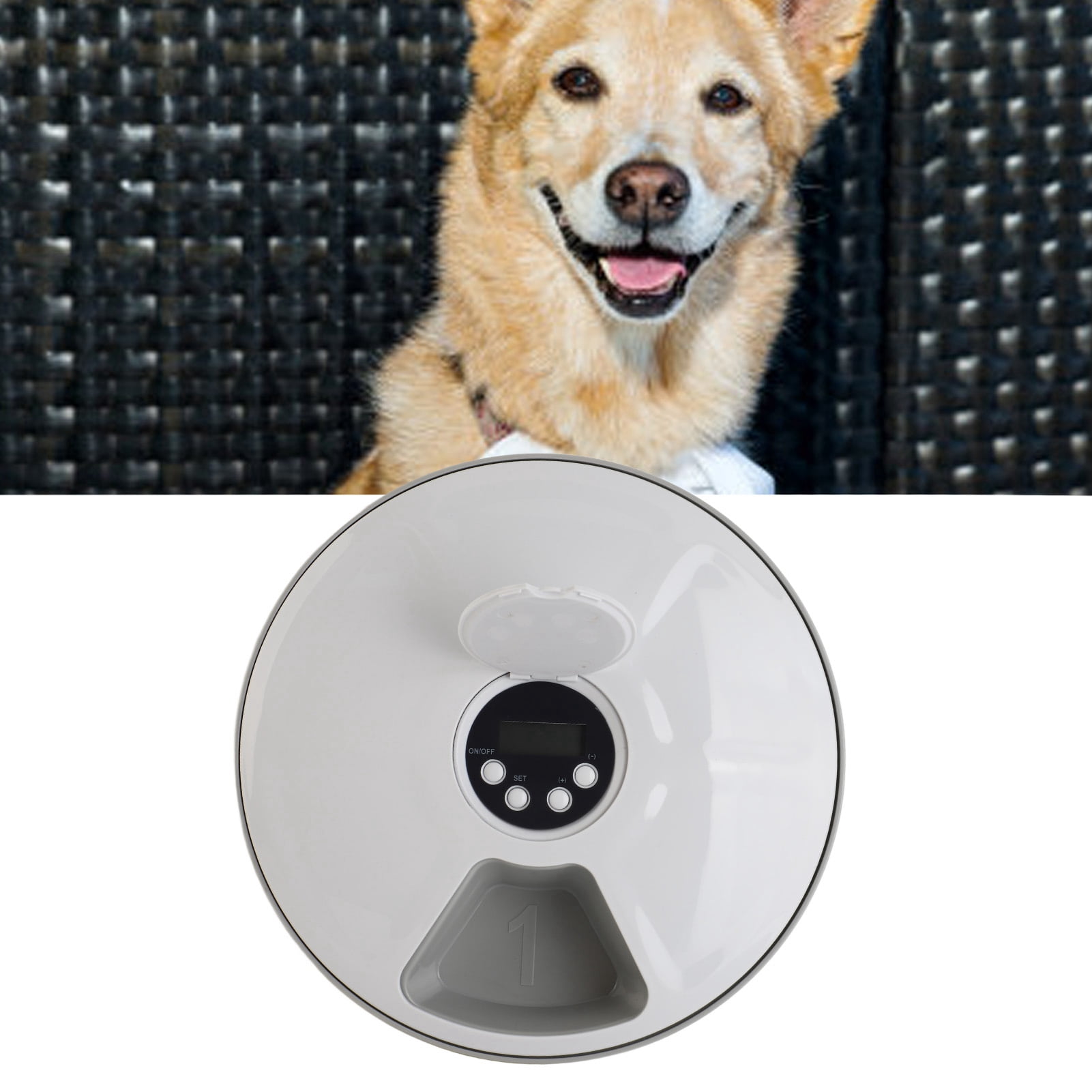 Riousery Automatic Dog Feeder Timed Smart Portion Control Pet Dispenser with Voice Reminder for Small Dogs Puppy Diameter 11.8 inches / 30 cm Height 2.8 inches / 7 cm