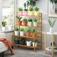 thumbnail image 6 of 10 Pack 6 Inch Plant Pots with Drainage and Saucers, Plastic Flower Pots for Indoor and Outdoor Plants, Stackable Nursery Planters for Houseplants and Herbs, Terracotta, 6 of 6