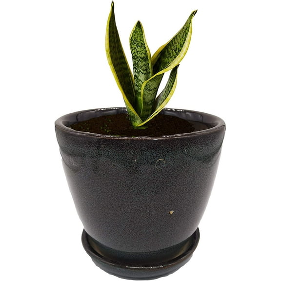 India Meets India Cup Plate Ceramic Flower Pot Planter Indoor Outdoor Planter 4 Inch Handicraft by Awarded Indian Artisan (Black)