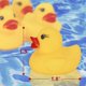 thumbnail image 4 of Juguete de baño para bebé CHAO Pato de goma flotante y chirriante 12 piezas, 4 of 5