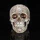 thumbnail image 5 of Bearachild Decoración de calavera Retro, modelo de cabeza de resina de dinosaurio, réplica de esqueleto, colección de figuritas, decoración de Halloween Decoración Bearachild HA011432-00B, 5 of 6