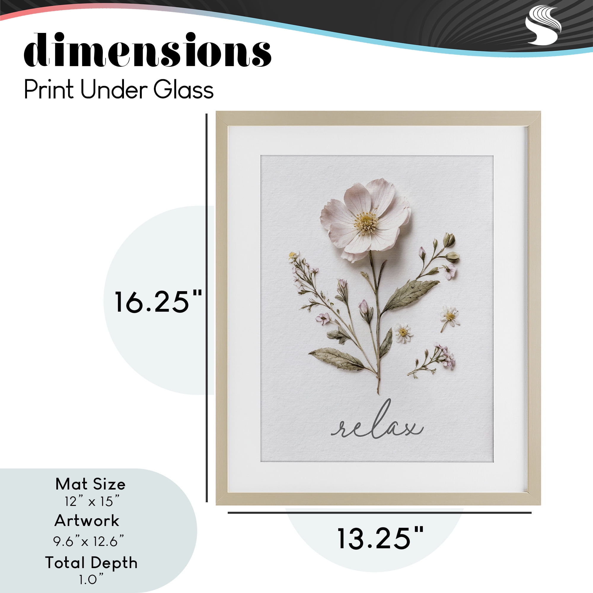 Pressed Flowers Relax Birch Framed Print Under Glass, design by Lettered and Lined