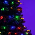 thumbnail image 5 of Wintergreen Lighting C6 Multicolor Christmas Lights LED String Lights, Set of 70 Lights on Green Wire, 24 Ft - Indoor/Outdoor Lighting, 5 of 7
