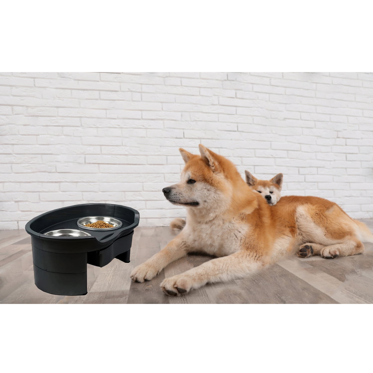 Set Of 2 Elevated Dog Bowls - Stainless-steel 40-ounce Food And Water Bowls  For Dogs And Cats In A Raised 3.5-inch-tall Decorative Stand By Petmaker :  Target